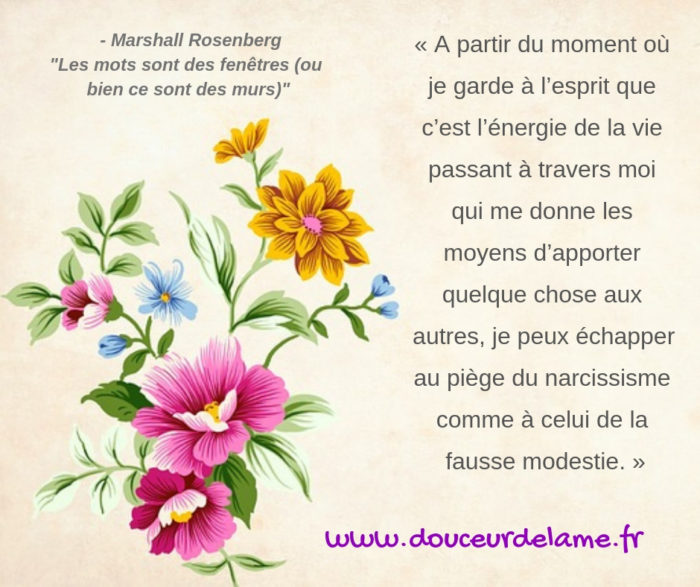 Les mots sont des fenêtres - Marshall Rosenberg