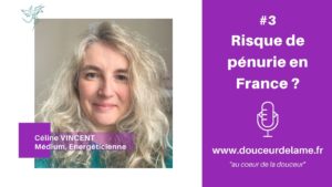 risque de pénurie alimentaire en france, céline vincent, médium, énergéticienne