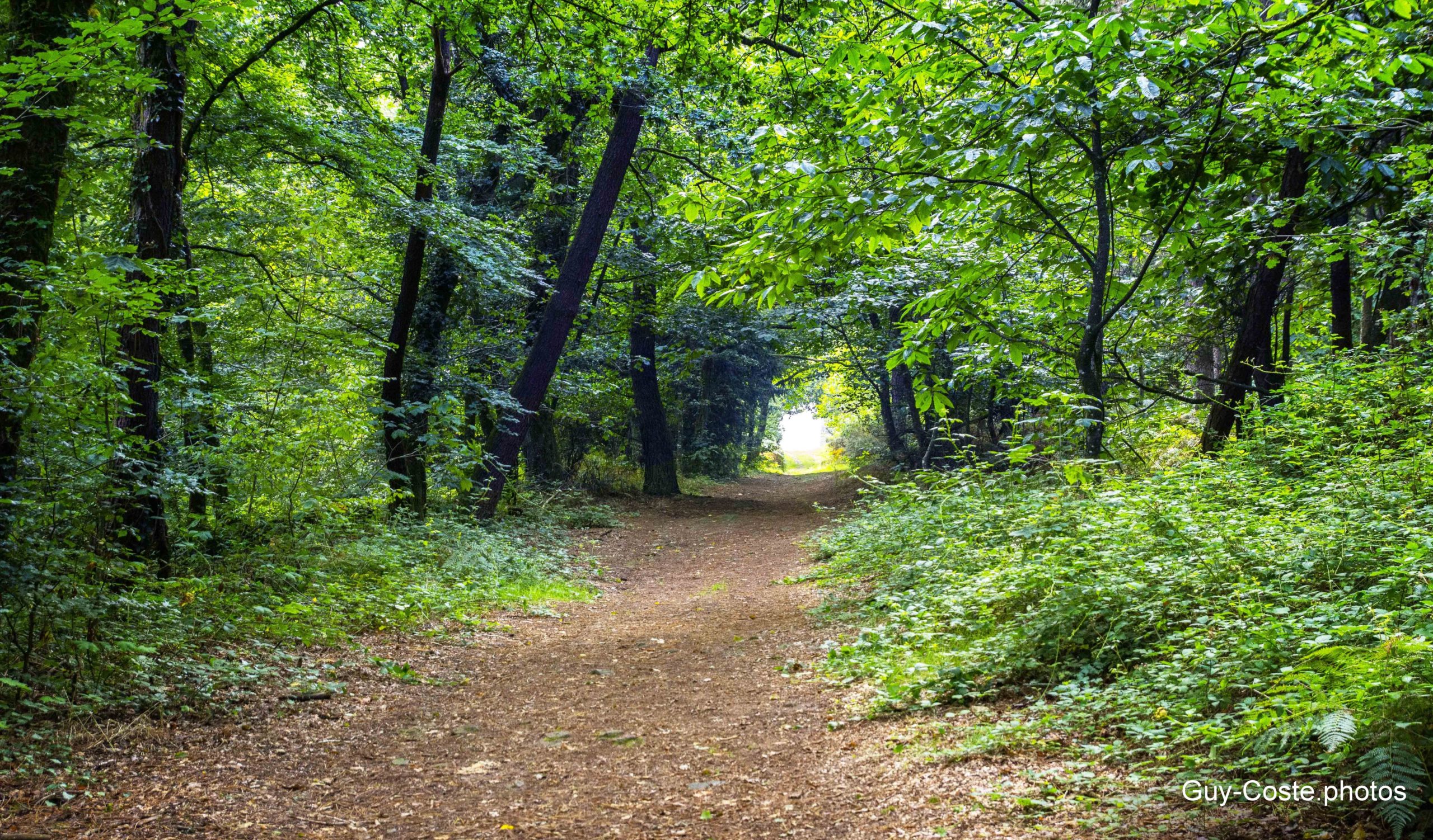 Chemin Maneguen, breizh safari photo, bretagne, morbihan, guy coste, céline vincent