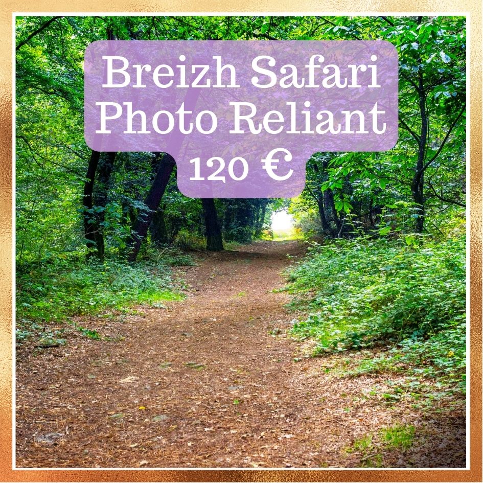 Tarif breizh safari photo reliant
