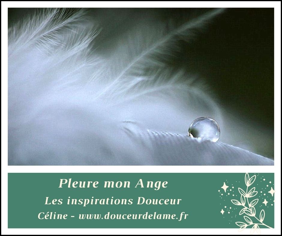 Pleure mon Ange